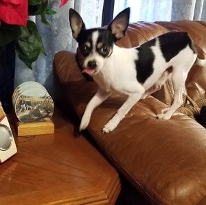 Meet your Posher, James